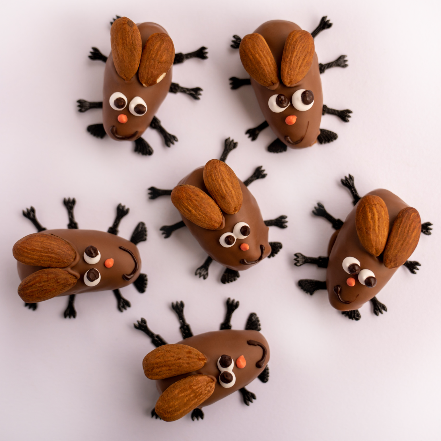 schoko-marienkaefer-bohnenblust-bern-01_1.png schoko-marienkaefer-bohnenblust-bern-01_1.png